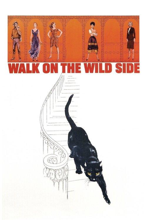 Download Walk on the Wild Side poster
