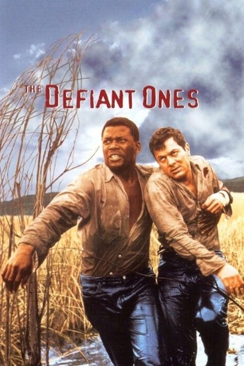 Download The Defiant Ones poster