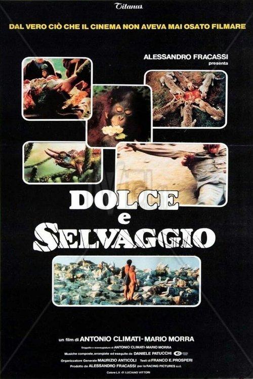 Download Sweet and Savage poster
