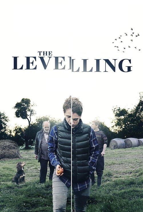 Download The Levelling poster