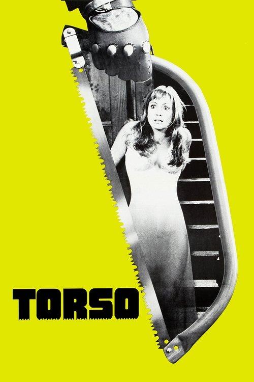 Download Torso poster