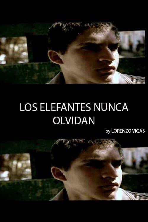 Download Elephants Never Forget poster