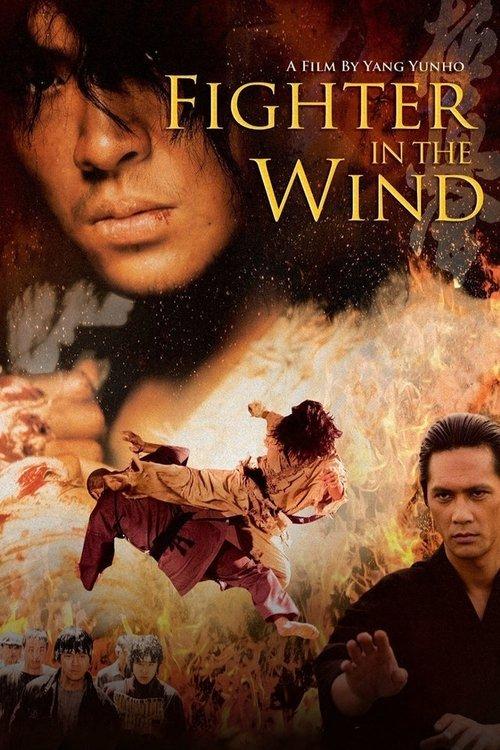 Download Fighter in the Wind poster