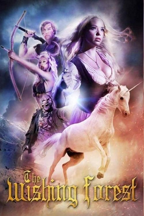 Download The Wishing Forest poster