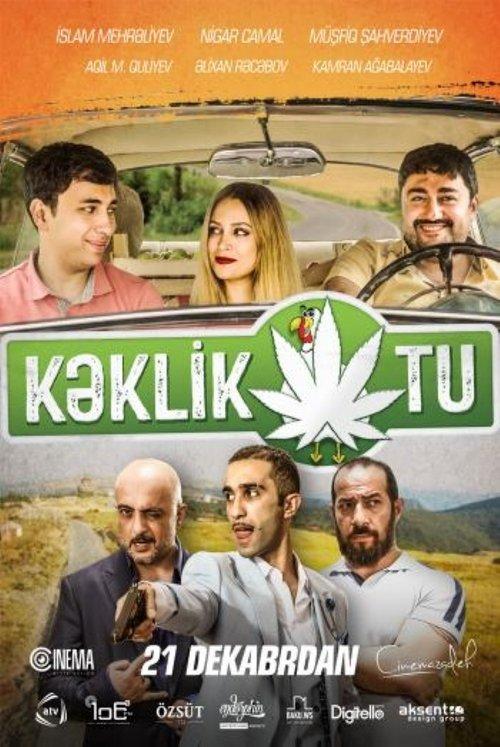 Download Kəklikotu poster