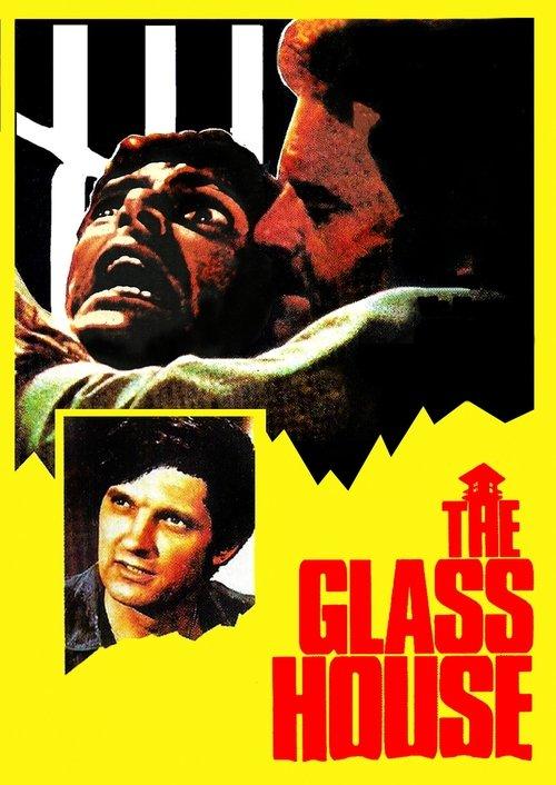 Download The Glass House poster