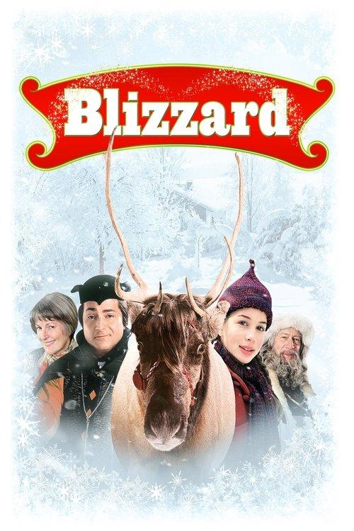 Download Blizzard poster