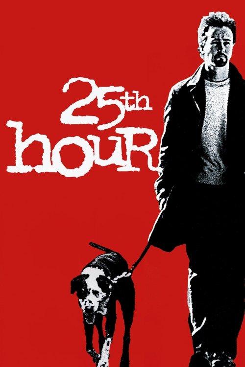 Download 25th Hour poster