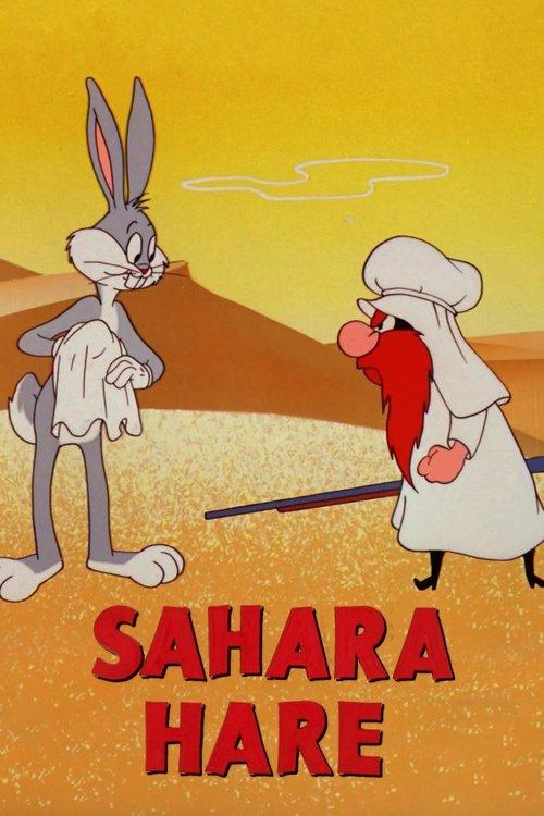 Download Sahara Hare poster