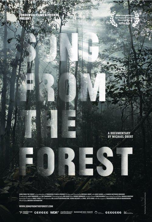 Download Song from the Forest poster