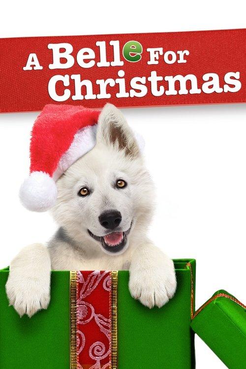 Download A Belle for Christmas poster