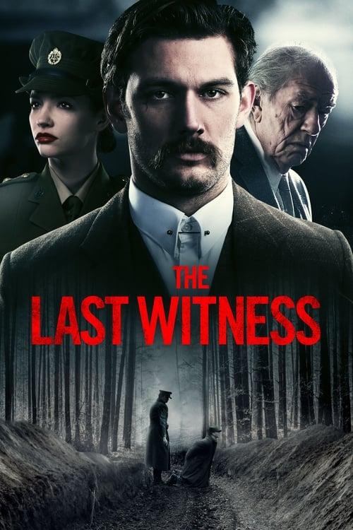 Download The Last Witness poster