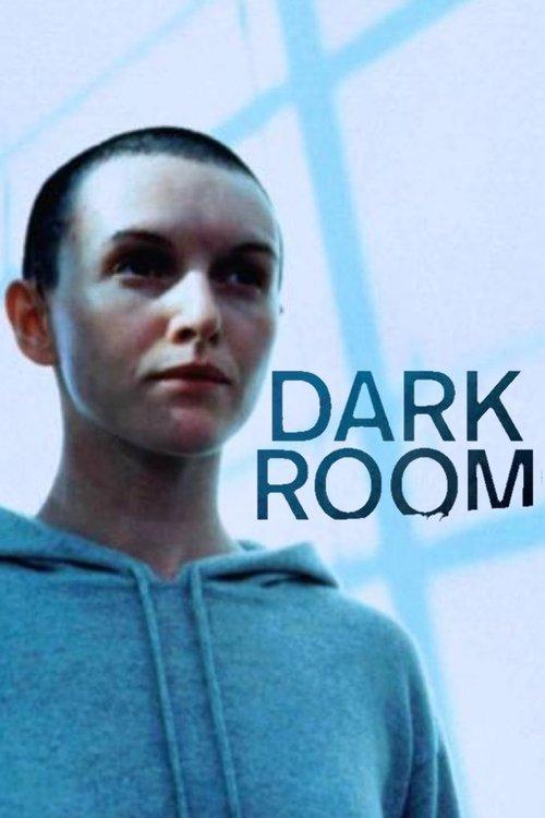 Download The Dark Room poster