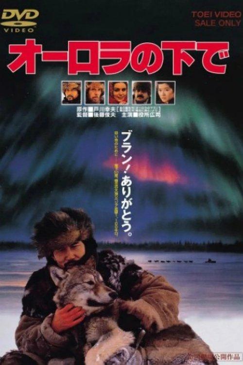Download Aurora Borealis poster