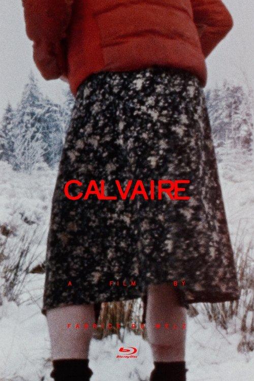 Download Calvaire poster
