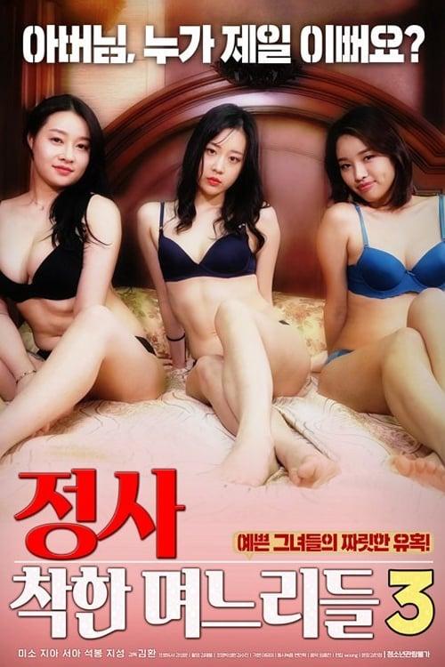 Download An Affair: Kind Daughters-in-law 3 poster