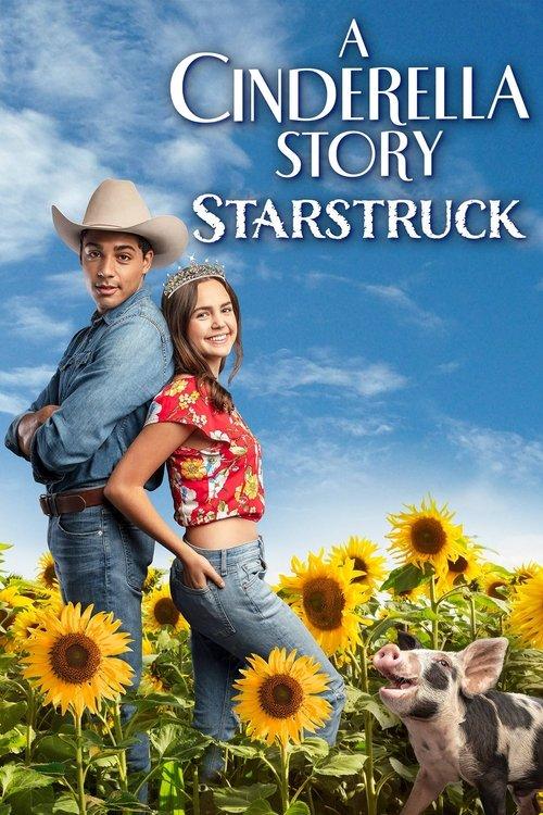 Download A Cinderella Story: Starstruck poster