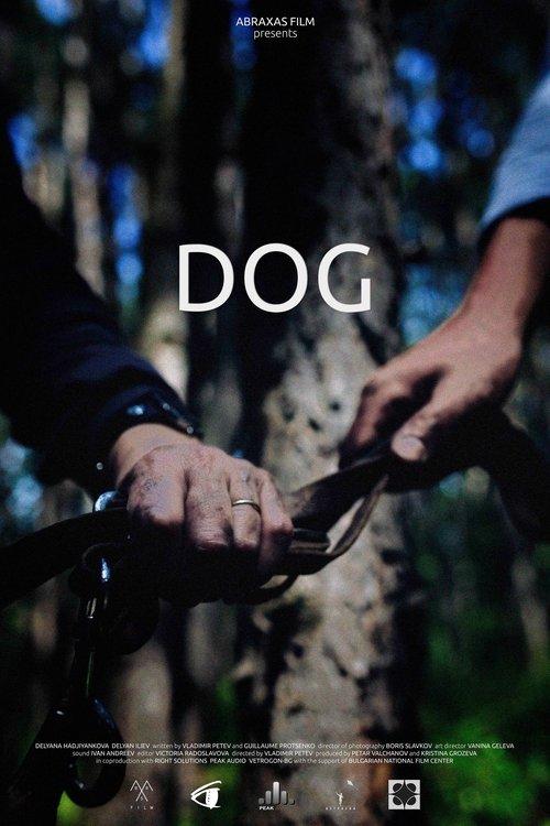 Download Dog poster