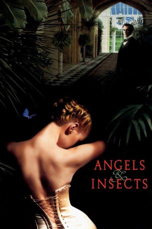 Download Angels and Insects poster