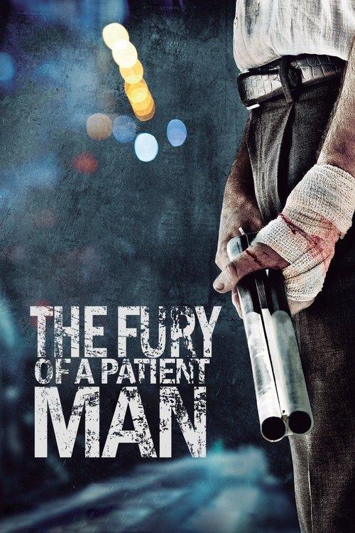 Download The Fury of a Patient Man poster