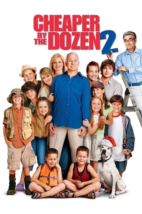 Download Cheaper by the Dozen 2 poster