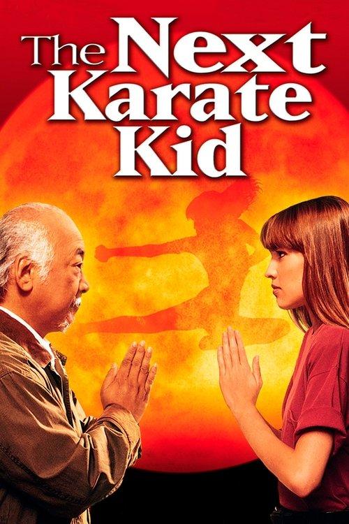 Download The Next Karate Kid poster