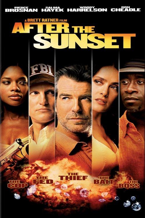 Download After the Sunset poster