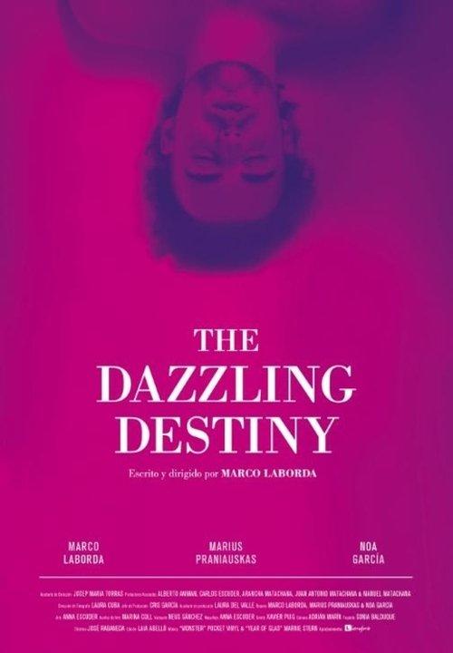 Download The Dazzling Destiny poster