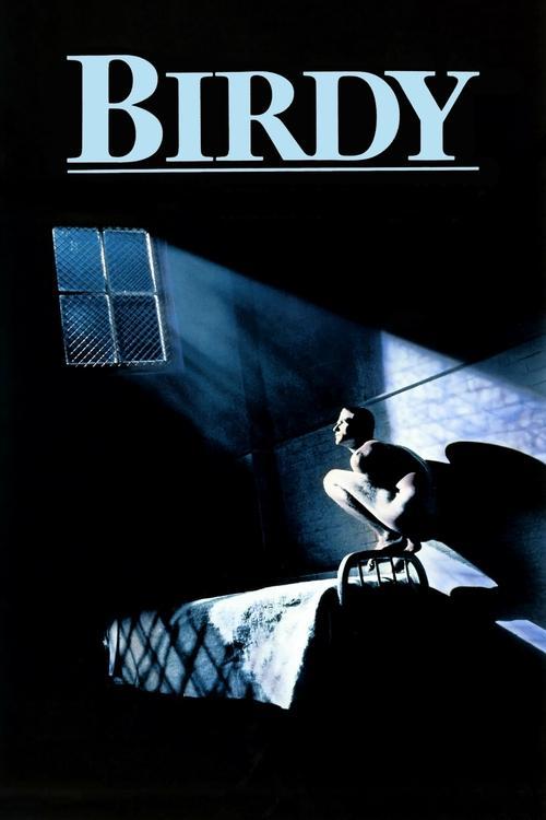 Download Birdy poster