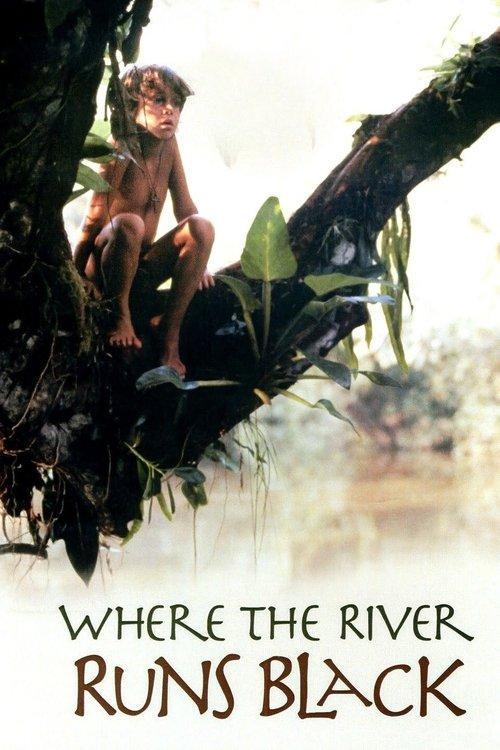 Download Where the River Runs Black poster