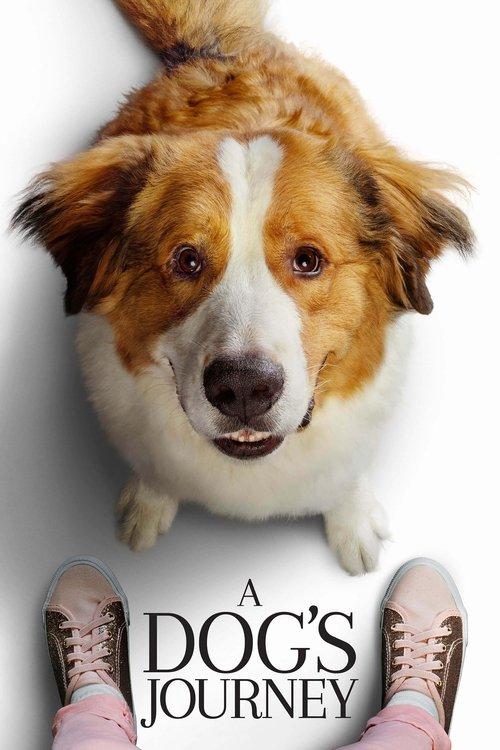 Download A Dog's Journey poster