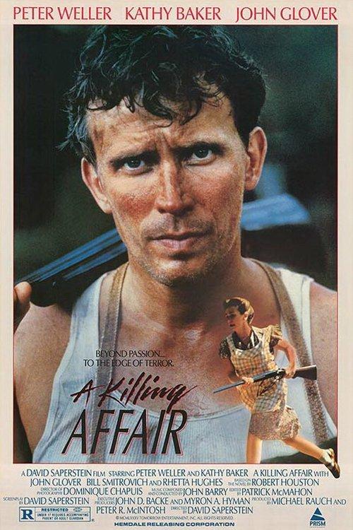 Download A Killing Affair poster