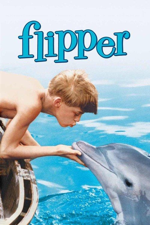 Download Flipper poster