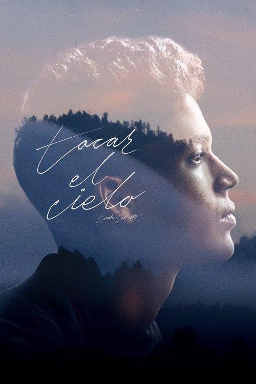 Download Touch the Sky poster