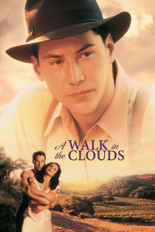 Download A Walk in the Clouds poster