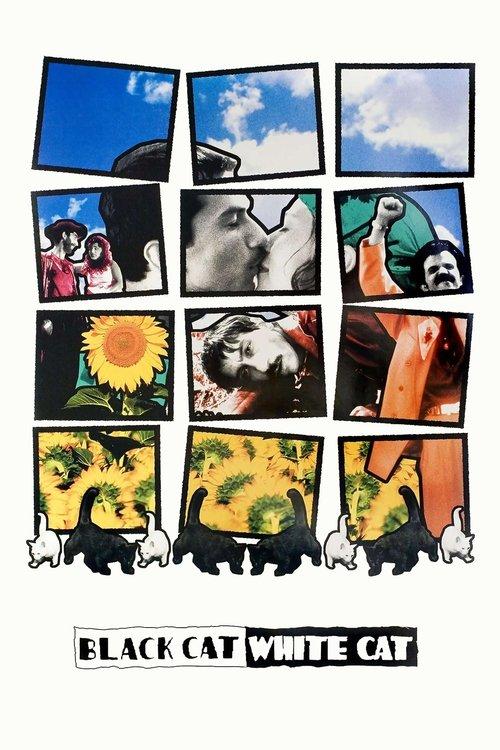 Download Black Cat, White Cat poster