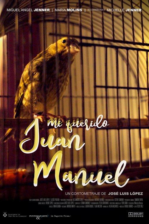 Download Mi querido Juan Manuel poster