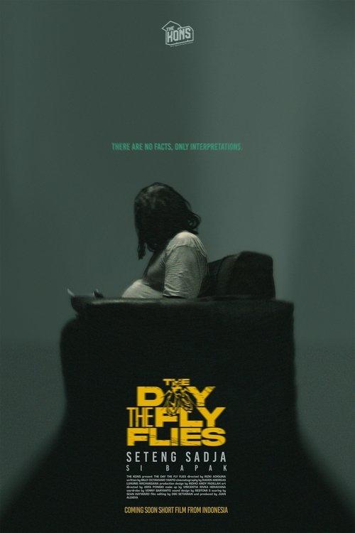 Download The Day The Fly Flies poster