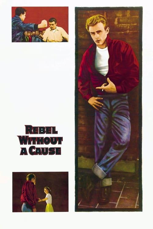 Download Rebel Without a Cause poster
