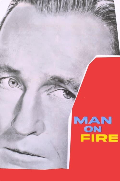 Download Man on Fire poster