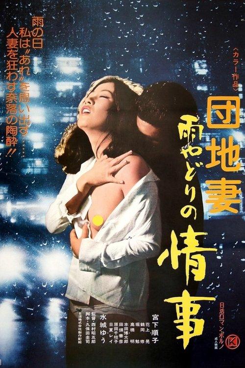 Download Apartment Wife: Rainy Day Affair poster