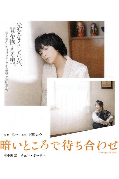 Download Waiting in the Dark poster