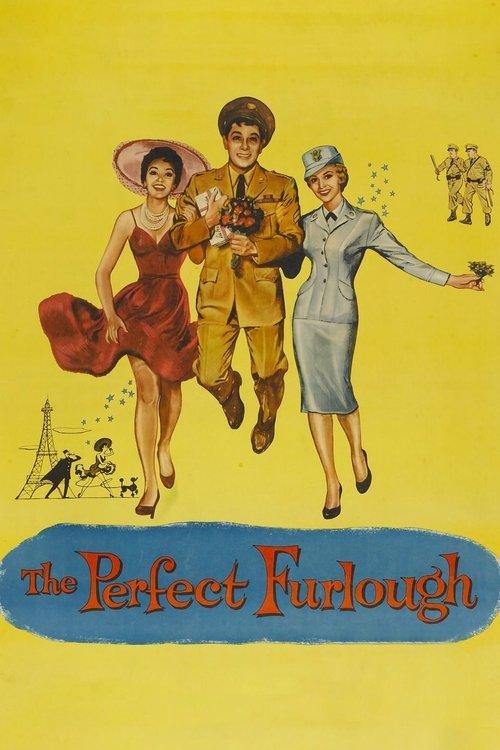 Download The Perfect Furlough poster