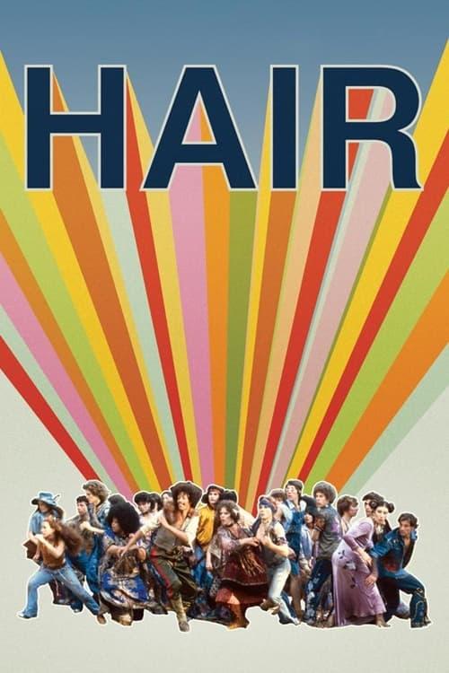Download Hair poster
