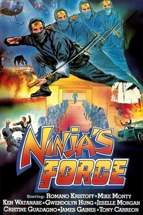 Download Ninja's Force poster