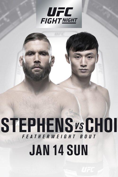 Download UFC Fight Night 124: Stephens vs. Choi poster
