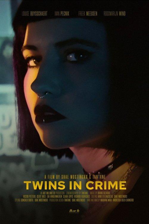Download Twins in Crime poster