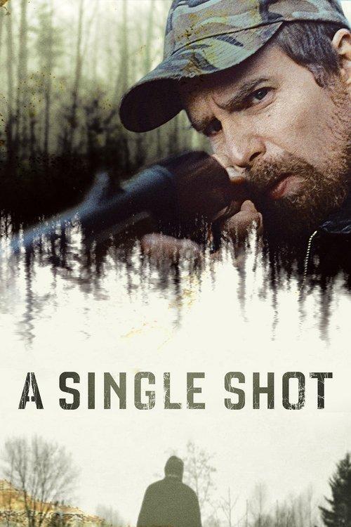 Download A Single Shot poster