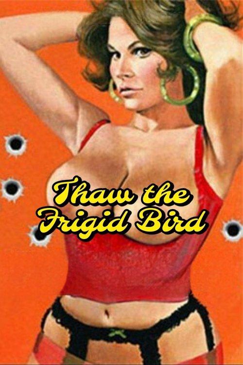 Download Thaw the Frigid Bird poster