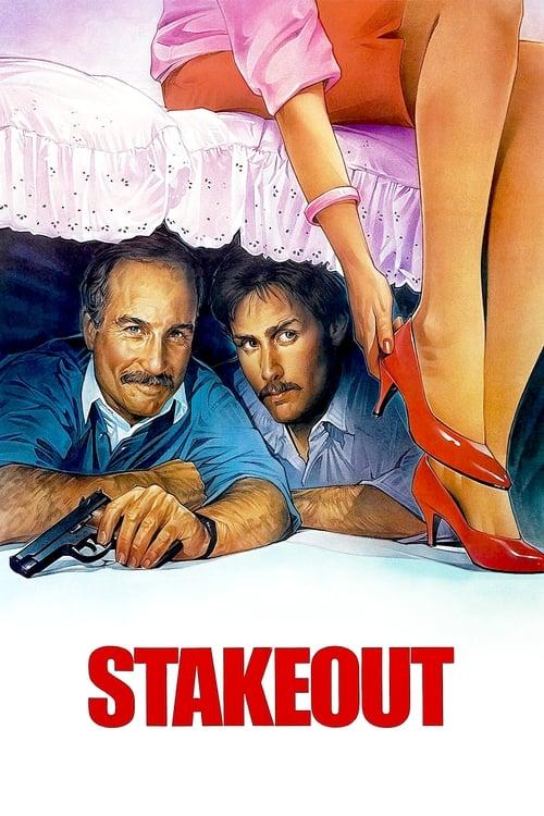 Download Stakeout poster